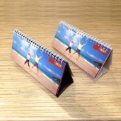 Настольный 10Х19